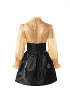Polka Dot Puff Sleeve Satin Patchwork Mini Dress SP10084